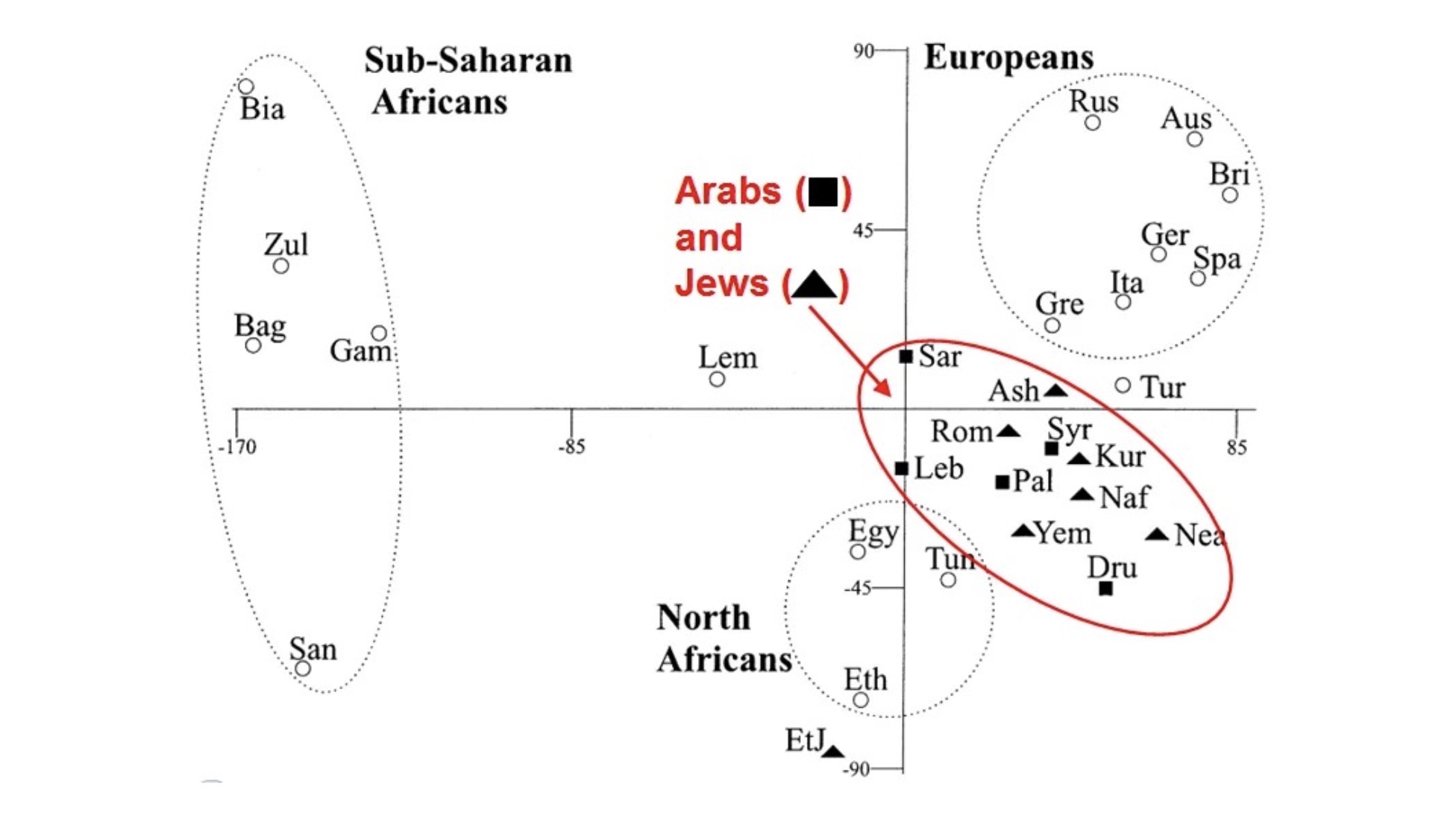 Hammer et al. 2000 — Jewish Y-chromosome haplotype cluster diagram